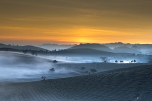 Beautiful nature landscape