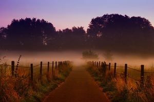 Beautiful nature landscape