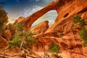 Beautiful nature landscape