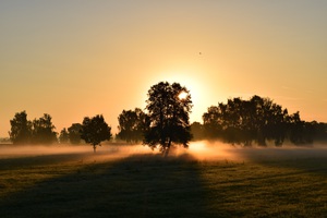 Beautiful nature landscape
