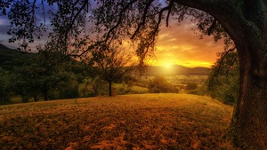 Beautiful nature landscape