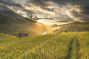 Beautiful nature landscape
