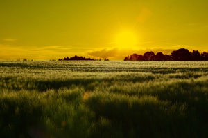 Beautiful nature landscape