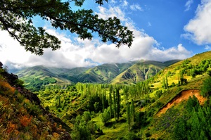 Beautiful nature landscape
