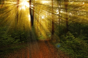 Beautiful nature landscape