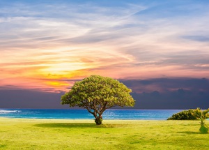 Beautiful nature landscape