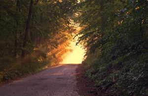 Beautiful nature landscape