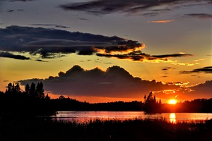 Beautiful nature landscape