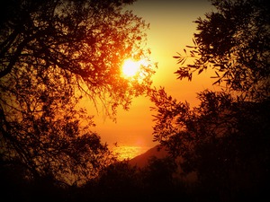 Beautiful nature landscape