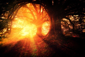 Beautiful nature landscape