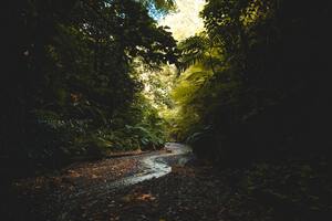 Beautiful nature landscape