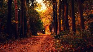 Beautiful nature landscape