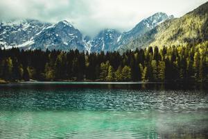 Beautiful nature landscape