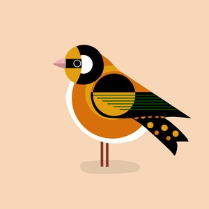 Bird Abstract Drawing art