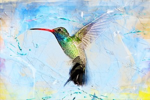 Bird Hummingbird Art Abstract
