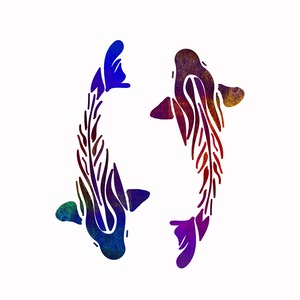 Fish Drawing Nature