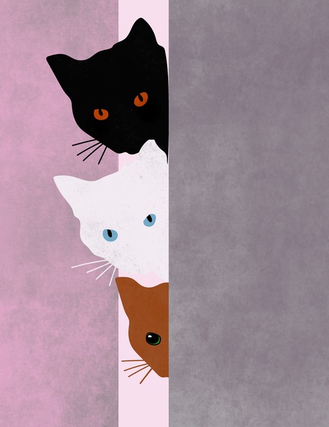 Cats Pets Print
