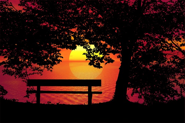 Sunset Bench Trees night Print