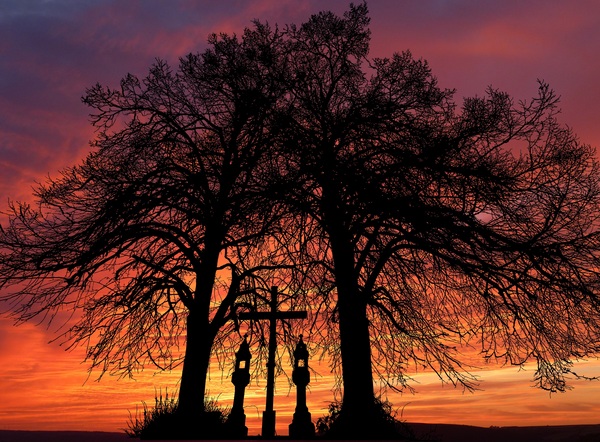Sunset Tree Nature night  Print