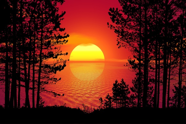 Sunset Trees Forest night Print