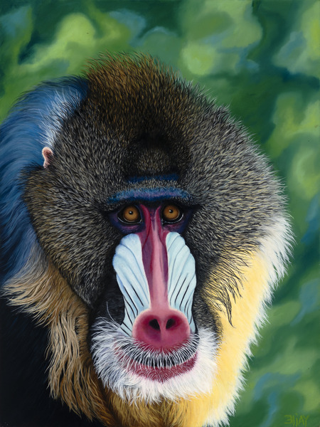 Blue Baboon by AnnaLysa Artistry