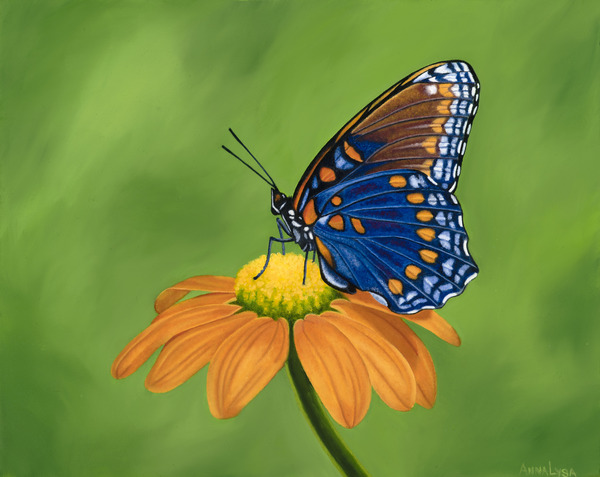 Leap of Faith   by AnnaLysa Artistry
