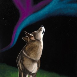 Magical Moon