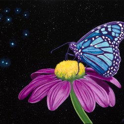 Pleiades  