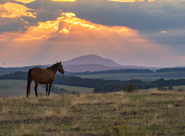 Picturesque Eve Print