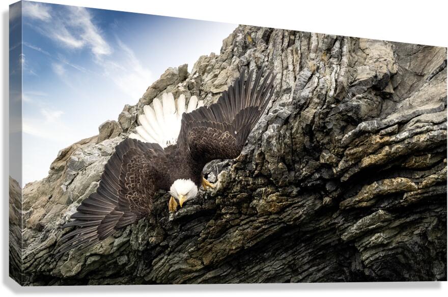Look Out Below Canvas Print