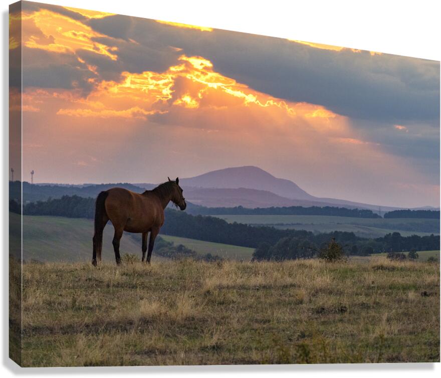 Picturesque Eve Canvas Print