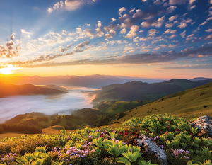 Sunrise on green land stunning natural view Landscape 