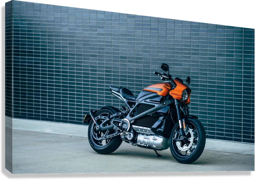motorcycle to ride Canvas Print