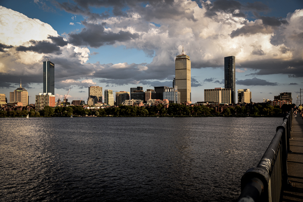 Boston Greige  Print