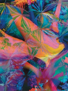 Carnival Bird of Paradise