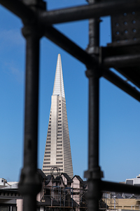 Transamerica Pyramid Among Scaffolding