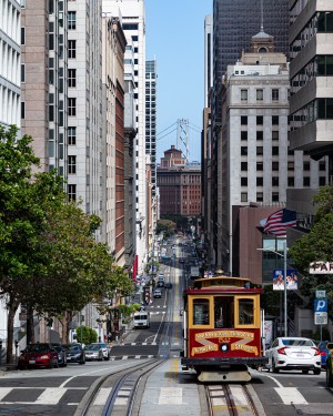 San Francisco City Scene