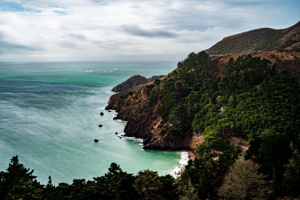 Kirby Cove by David Yoon
