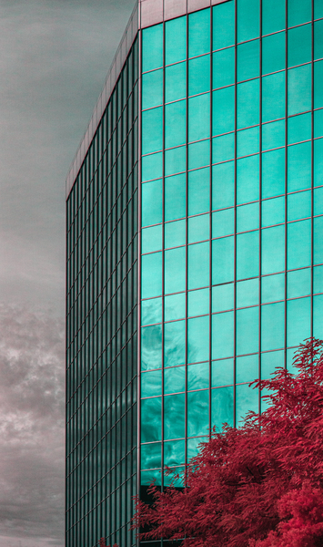 Glass Edifice by David Yoon