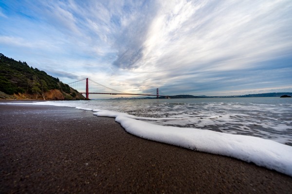 Kirby Cove by David Yoon