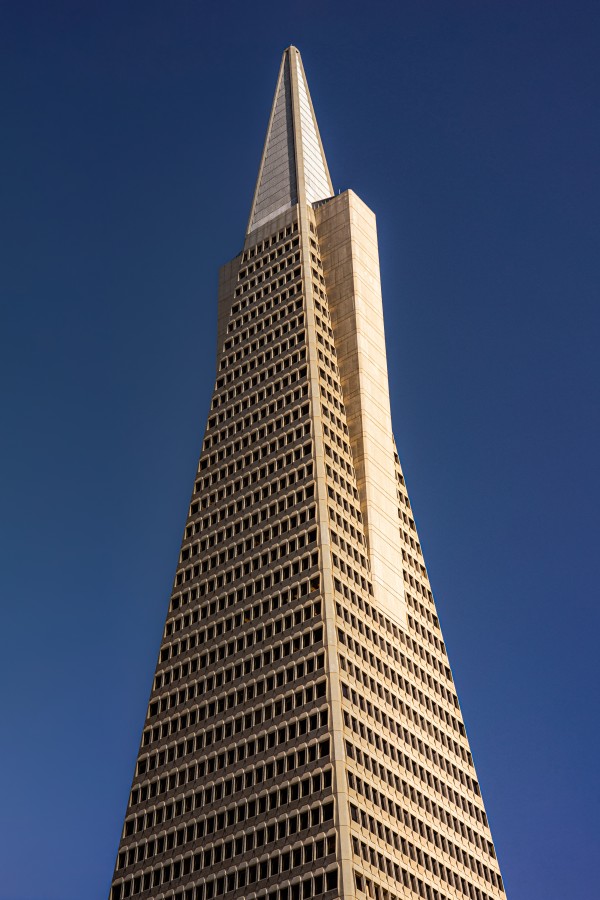 Transamerican Pyramid by David Yoon
