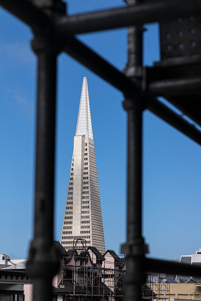 Transamerica Pyramid Among Scaffolding  Print
