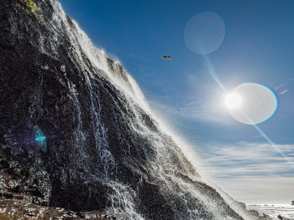 Alamere Falls by David Yoon