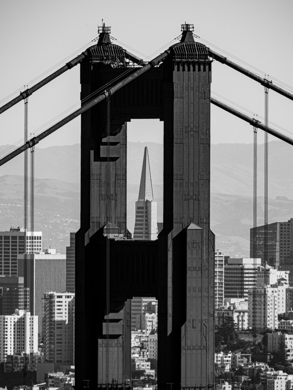 Threading the Needle - Golden Gate Bridge in Black and White by David Yoon