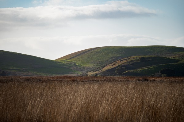 Coyote Hills During Sunset by David Yoon