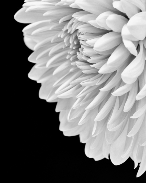 Hello Gorgeous  Print