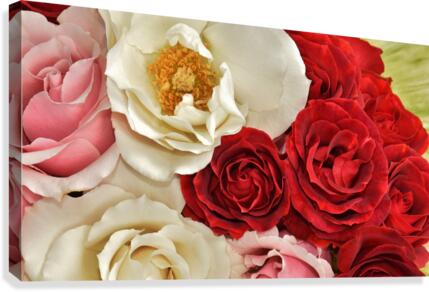 Bountiful Love Canvas Print