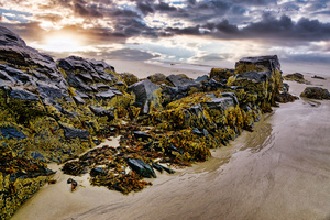 Rebirth of the Soul at Ogunquit Maine 