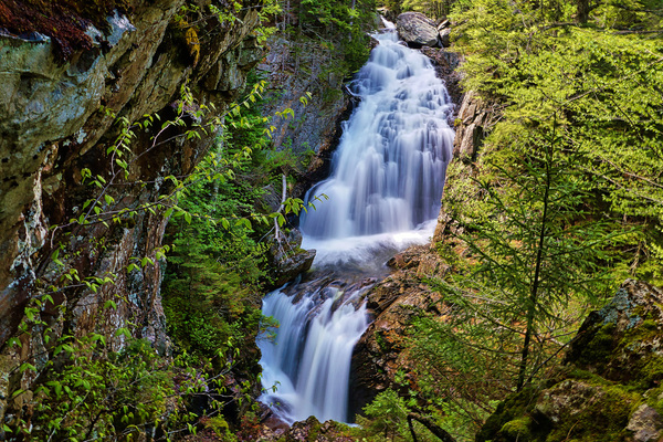 Crystal Waters  Print