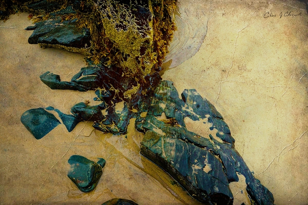  Into the Sand and Sea  Print